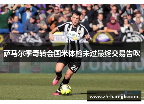 萨马尔季奇转会国米体检未过最终交易告吹